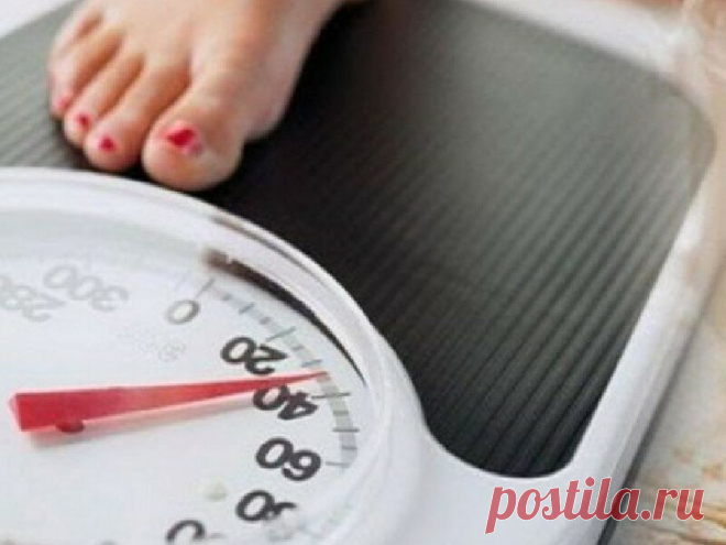 5 странных и необычных диет, на которых вы еще точно не сидели, да и вряд ли рискнете так худеть | Похудеть-помолодеть | Яндекс Дзен