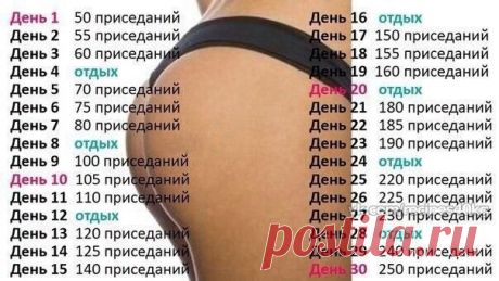 Сохрани себе! / Всё за еду!