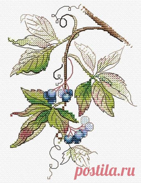 
							М-508 Рождение осени (МП Студия)
			 Вышивка М-508 Рождение осени (МП Студия) в интернет-магазине товаров для рукоделия «Мир Вышивки». У нас вы сможете купить наборы для вышивания «Наборы для вышивания «МП Студия»» по выгодным ценам. Обширный каталог наборов для вышивания крестом, бисером, мозаики от известных производителей. Доставка по всей России.