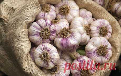 (2) Одноклассники