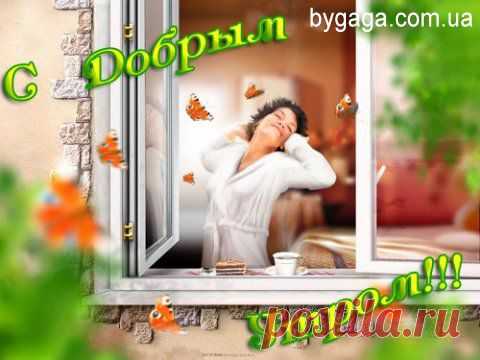 С Добрым утром, мой виртуальный друг. - Блог Марина на 24open.ru