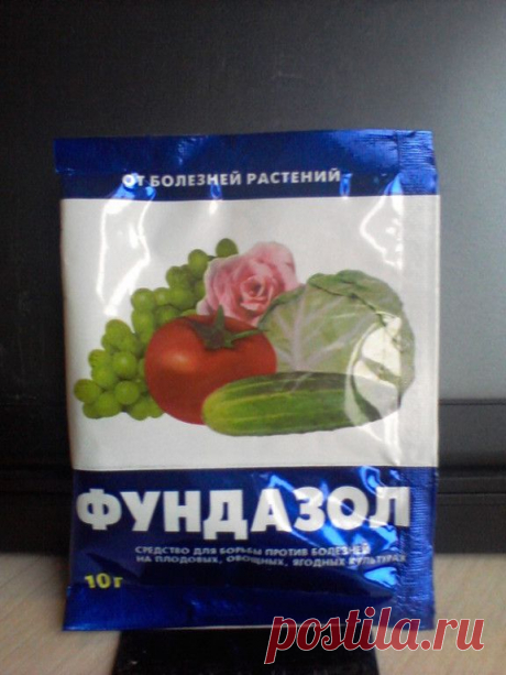 &quot;Фундазол&quot;- системный фугницид и для протравливания семян, характеризуется профилактическим и лечебным действием против болезней. Действие препарата выражается в торможении деления клеток патогенных организмов.