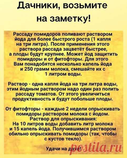 Девочки, еще один совет для вас. 
Берите на заметку.