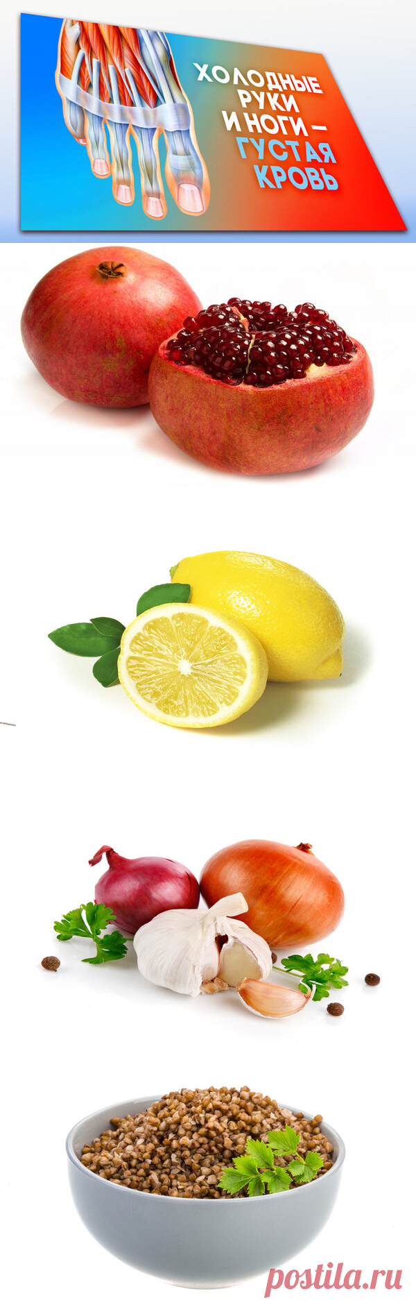 Продукты для разжижения крови после 50 лет. | LIVE ДНЕВНИК  [Полезно знать!] | Яндекс Дзен