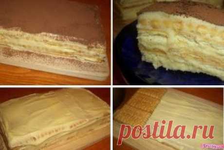 ТОРТ "А-ЛЯ ТИРАМИСУ" 
По-моему, намного вкуснее!

ИНГРЕДИЕНТЫ:

Крем:
● Сахар 1 ст
● Яйцо куриное 1 шт
● Мука пшеничная 1 ст.л.
● Молоко (теплое) 1 ст
● Картофельный крахмал 1/2 ст.л
● Масло сливочное 200 гр

Основа торта:
● Печенье затяжное ("кухмастер" к примеру) 420 гр (55 шт)

Для оформления:
● Какао

ПРИГОТОВЛЕНИЕ:
Для начала приготовим крем: Взбиваем сахар с яйцом. Добавляем муку,теплое молоко, крахмал.Затем варим,помешивая, на слабом огне до консистенции густой смет...