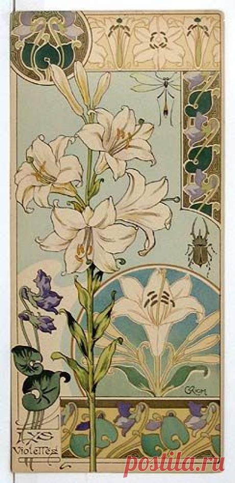 Riom. Lily &amp; Violet from Etudes de Fleurs. 1890s. Lithograph. | art