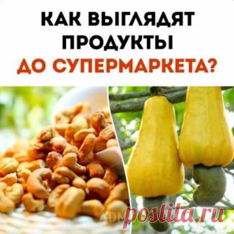 (7) AdMe.ru - Главная