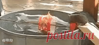 (1) Одноклассники