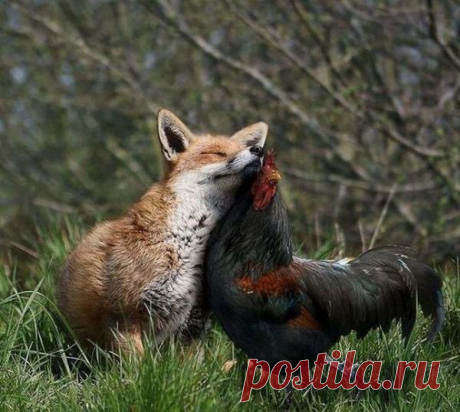 Мой Мир@Mail.Ru