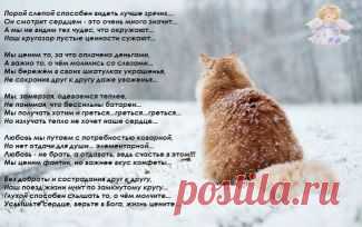 (99) Одноклассники