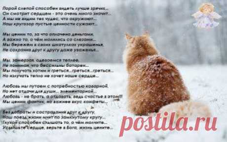 (99) Одноклассники