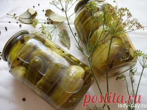 Вкусные маринованные огурцы | Простые рецепты с фото
