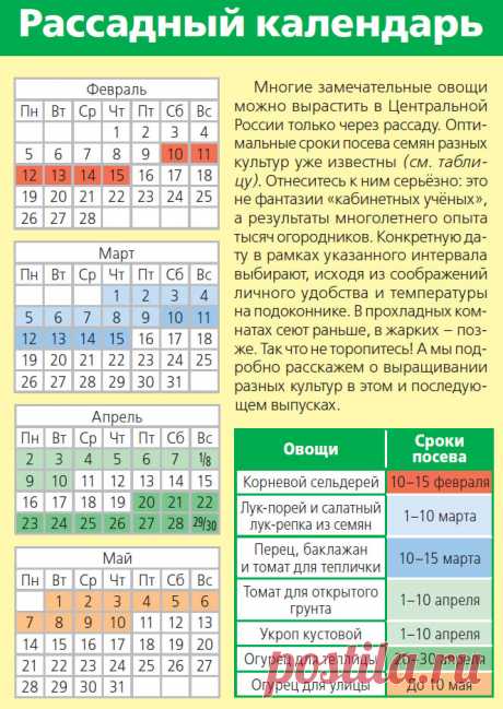 Время пошло! Работы на даче в феврале | 6 соток