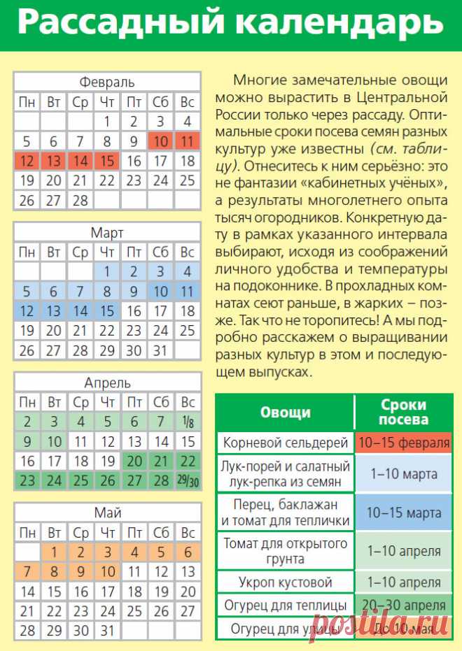 Время пошло! Работы на даче в феврале | 6 соток