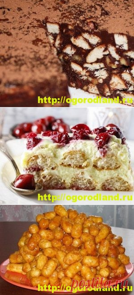Домашние тортики и десерты без выпечки. 12 вкусных рецептов