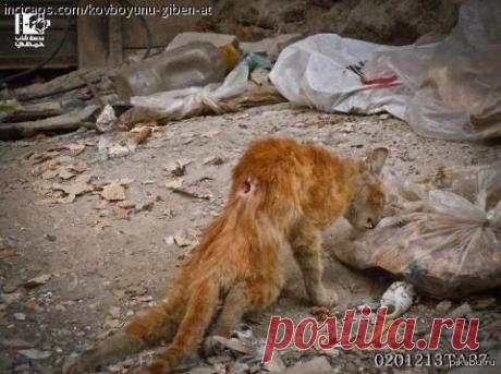 ужасы - Поиск в Google