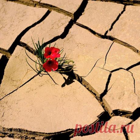 ПОЧЕМУ НИКОГДА НЕЛЬЗЯ СДАВАТЬСЯ |

Забери себе этот пост на стену и всегда обращайся к нему в моменты сомнений!

Бывает, что просто нет сил продолжать что-либо делать, особенно, когда явных результатов вашей деятельности нет. Как в этом случае не опустить руки и не сдаться? Вам в помощь 12 причин, почему вы никогда не должны сдаваться.