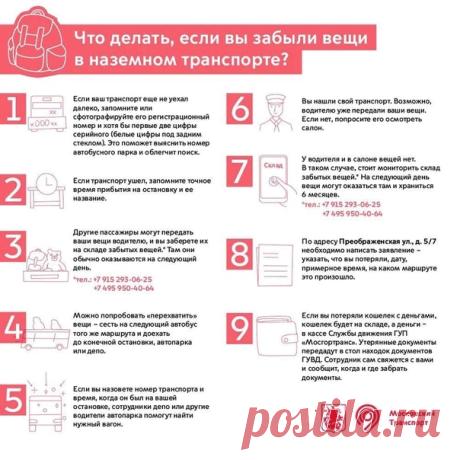 Если вы вдруг забыли вещи в автобусе, то посмотрите, где их можно потом найти.