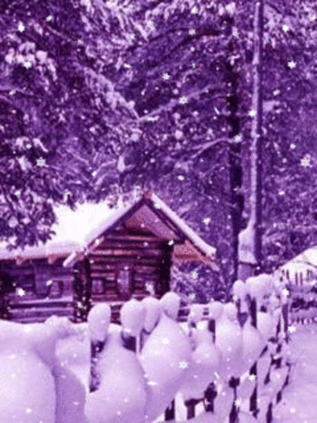 1202300.gif (240×320)