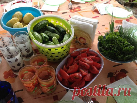 Шашлыки в беседке &quot;по-простому&quot;