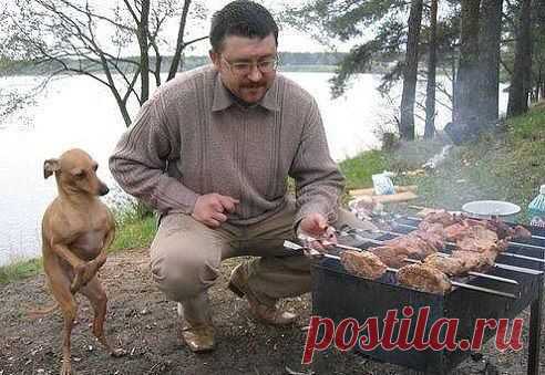 (71) Одноклассники