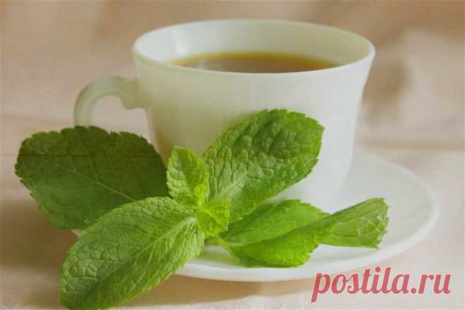 3 рецепта вкусного и лечебного домашнего чая для крепкого иммунитета, хорошего самочувствия и отличного настроения | Моя домашняя кухня | Яндекс Дзен