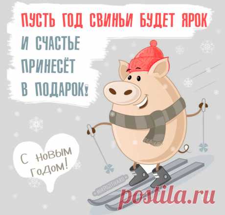 Коллекция лучших картинок с Новым 2019 годом В домах скоро запахнет хвоей и апельсинами. Приближается самый сказочный и любимый всеми праздник. Новый год – это елка, шары, Дед Мороз и главное, много подарков. Хочется поздравить каждого с наступающим чудом, преподнести друзьям и близким хотя бы маленький презент. Здесь очень кстати на помощь