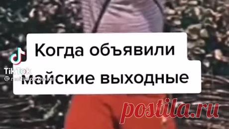 1619831081730962