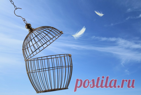 Как искать работу, если у вас был свой бизнес
