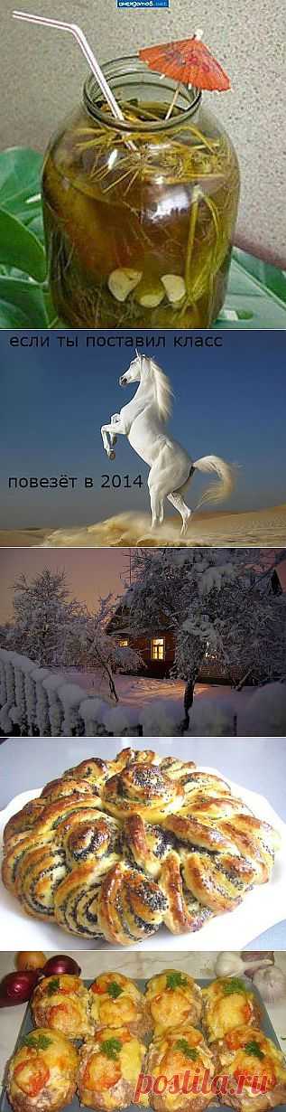 (23) Одноклассники