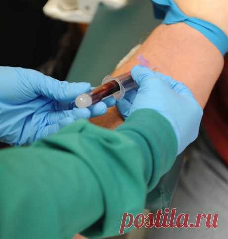 4 анализа крови, которые предупредят, если сердце в беде | Доброго здоровья! | Яндекс Дзен
