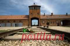 Сегодня 26 июня отмечается 