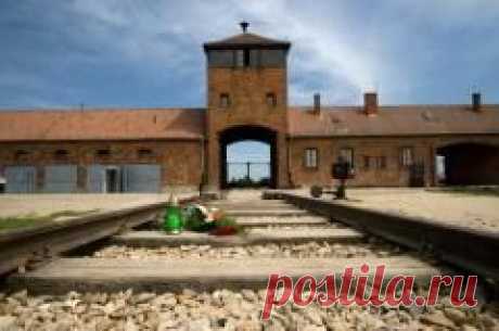 Сегодня 26 июня отмечается "Международный день в поддержку жертв пыток"