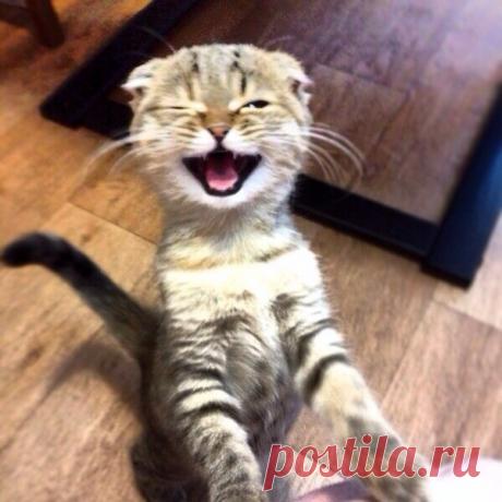 Умный дом. Полезные советы!