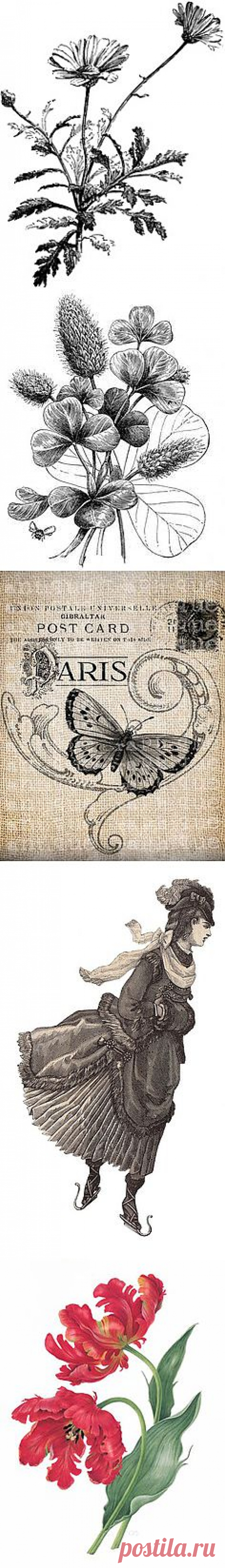 Great site of free clip art, all black and ... | Digi Stamps and Free…