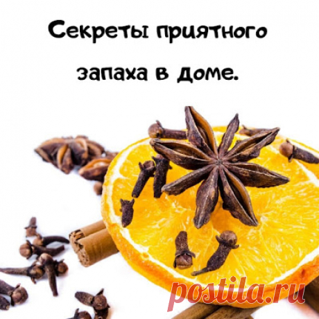 Домашний блог Валерии Питерской