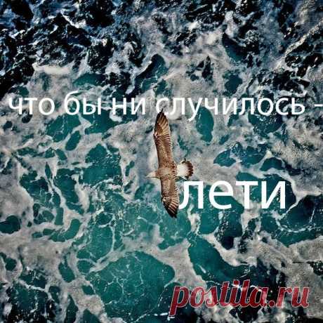 Летайте!