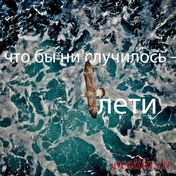 Летайте!