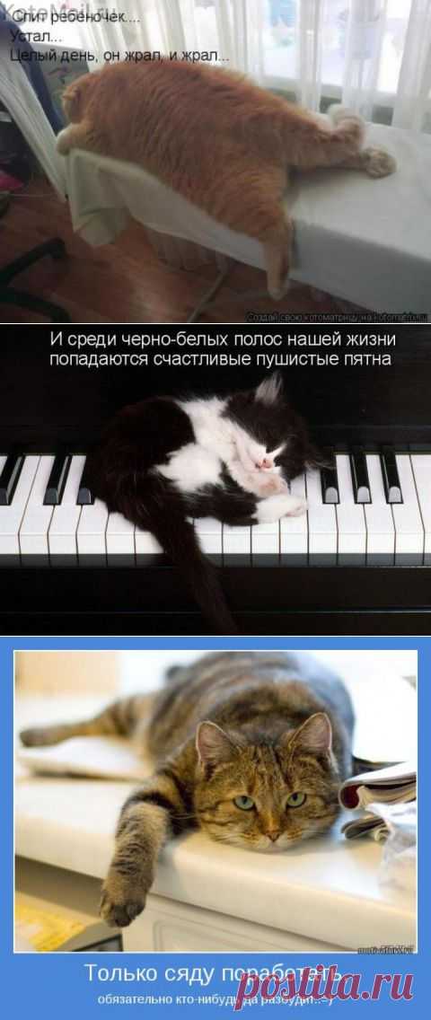 Спит ребёночек))) | KotoMail.ru