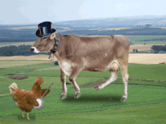 0480361e7ae0.gif (532×399)