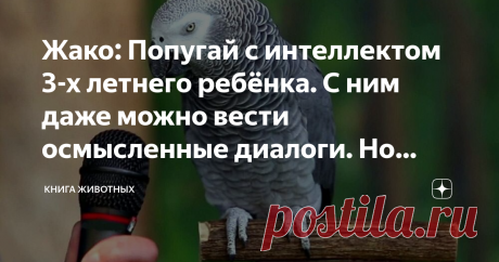 Жако: Попугай с интеллектом 3-х летнего ребёнка. С ним даже можно вести осмысленные диалоги. Но ужасно много мороки Тебе одиноко? Вечерами после работы ты сидишь в пустой квартире и не знаешь, чем себя занять? Выход есть! Купи себе жако, самого болтливого попугая-интеллектуала! Да, ты можешь найти друзей, начать отношения и даже завести детей, но зачем? Друзья предают, любовь проходит, дети покидают отчий дом, а попугай останется с тобой на 40-50 лет всего за 120 тысяч руб...