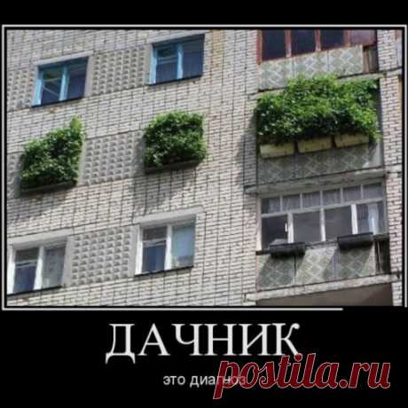 Классные дачные приколы