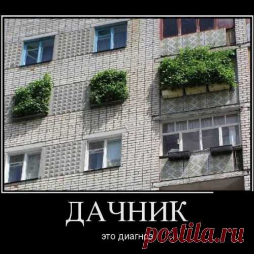 Классные дачные приколы
