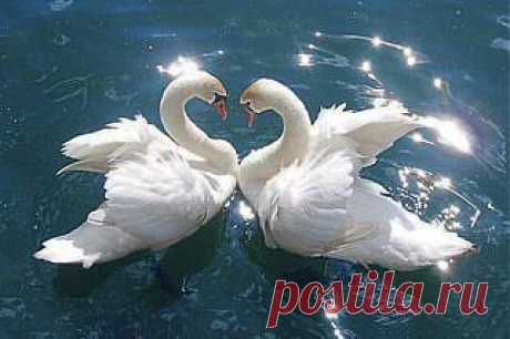 Михаил Резниковский