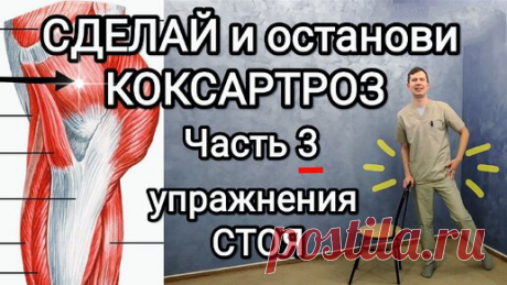 Сделай и останови КОКСАРТРОЗ. Часть 3/ Упражнения СТОЯ /из-за этой мышцы проблемы в тазу и спине | ✅ ГРИГОРИЙ ИГНАТЬЕВ | ЛФК | Дзен