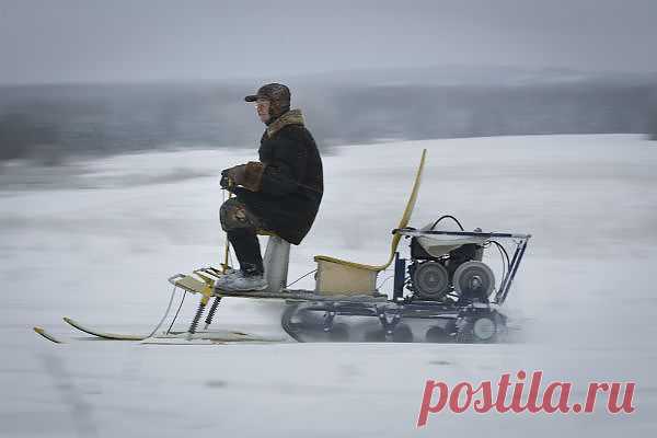 Пенсии в этом году повысят три раза&nbsp; &nbsp;Выживи сам