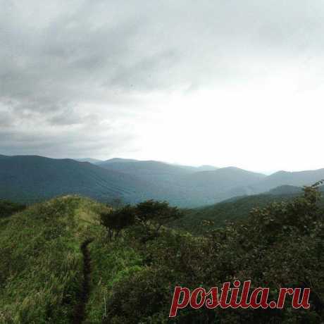 Приморье today