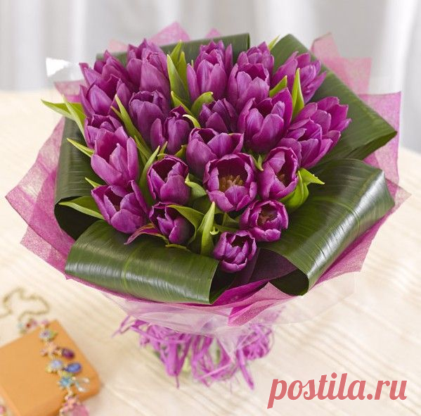 Дневник НаденькаВасильевна