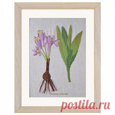 ❤ Набор для вышивки гладью и специальными стежками "Ботаника. Безвременник осенний". Цена 100 грн. Доставка по всей Украине.