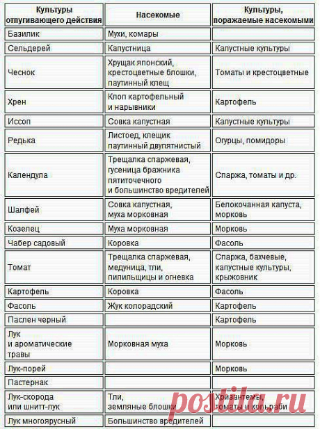 Эко зашита от вредителей огорода.